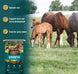Growth Textured, Mare & Foal Feed