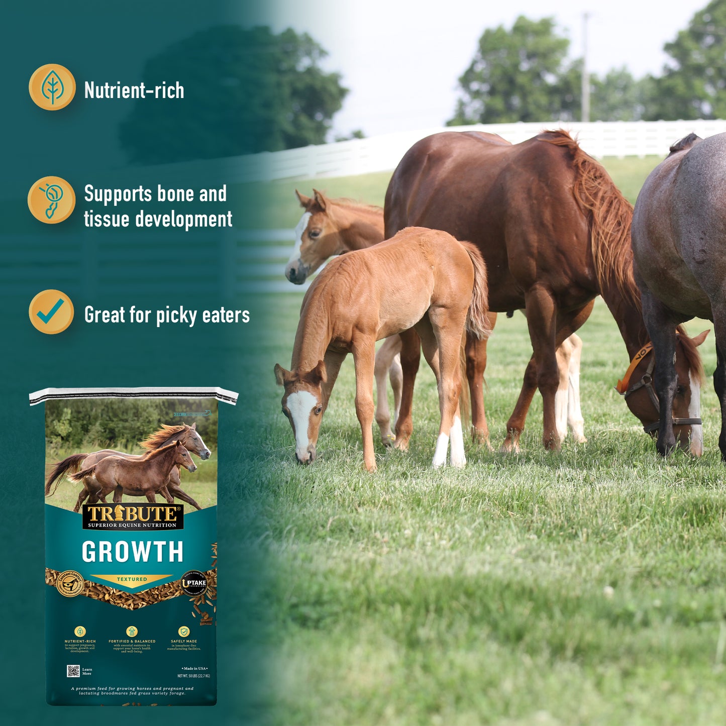 Growth Textured, Mare & Foal Feed