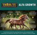 Alfa Growth®, Pelleted Feed for Mares & Foals on Alfalfa Diets