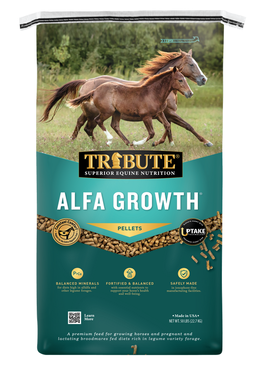 Alfa Growth®, Pelleted Feed for Mares & Foals on Alfalfa Diets