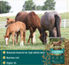 Alfa Growth®, Pelleted Feed for Mares & Foals on Alfalfa Diets