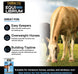 Equi-Librium™ Balancer