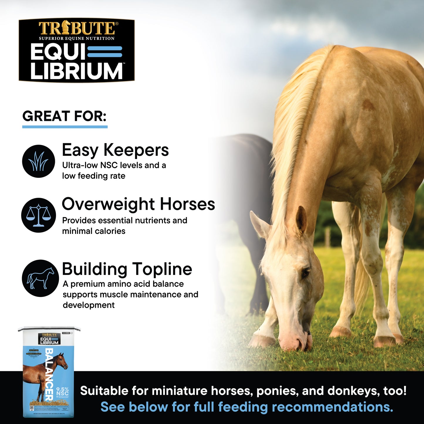 Equi-Librium™ Balancer