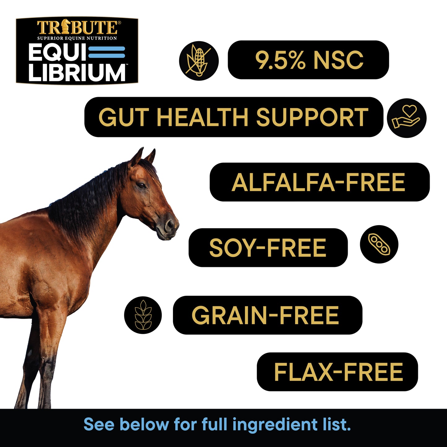 Equi-Librium™ Balancer