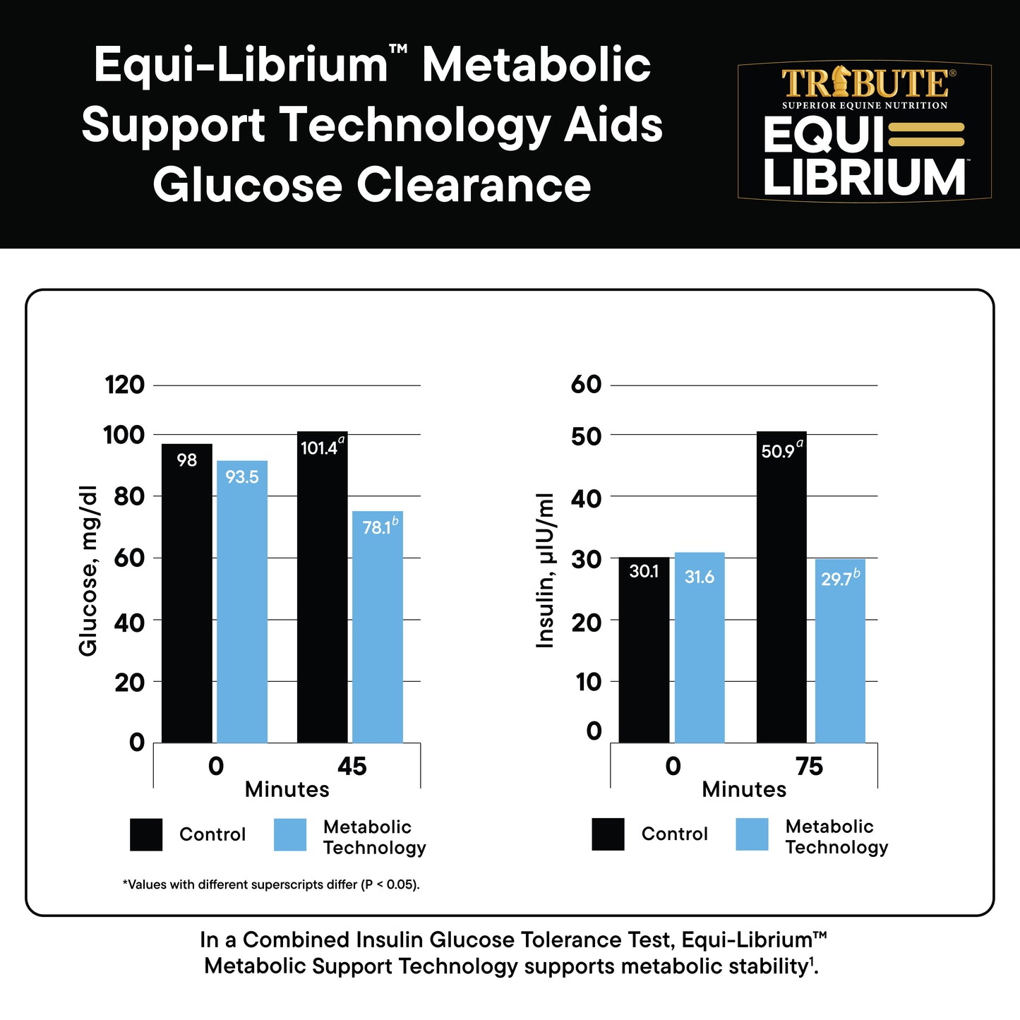 Equi-Librium™ Balancer
