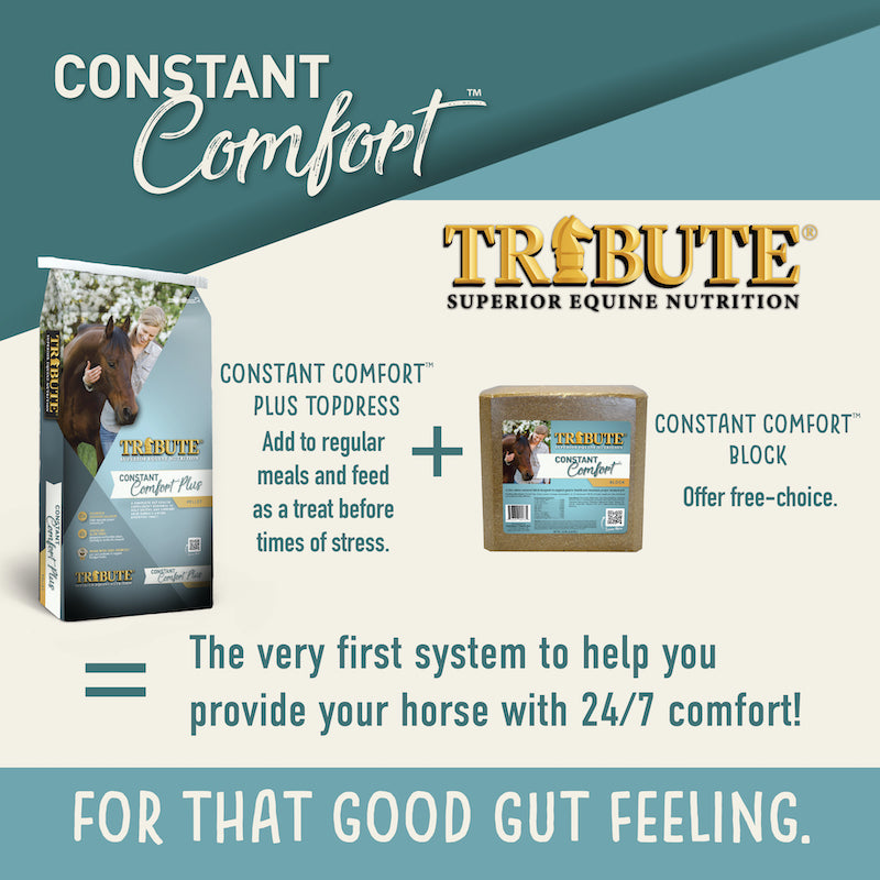 Introducing Constant Comfort™, the very first gut health system