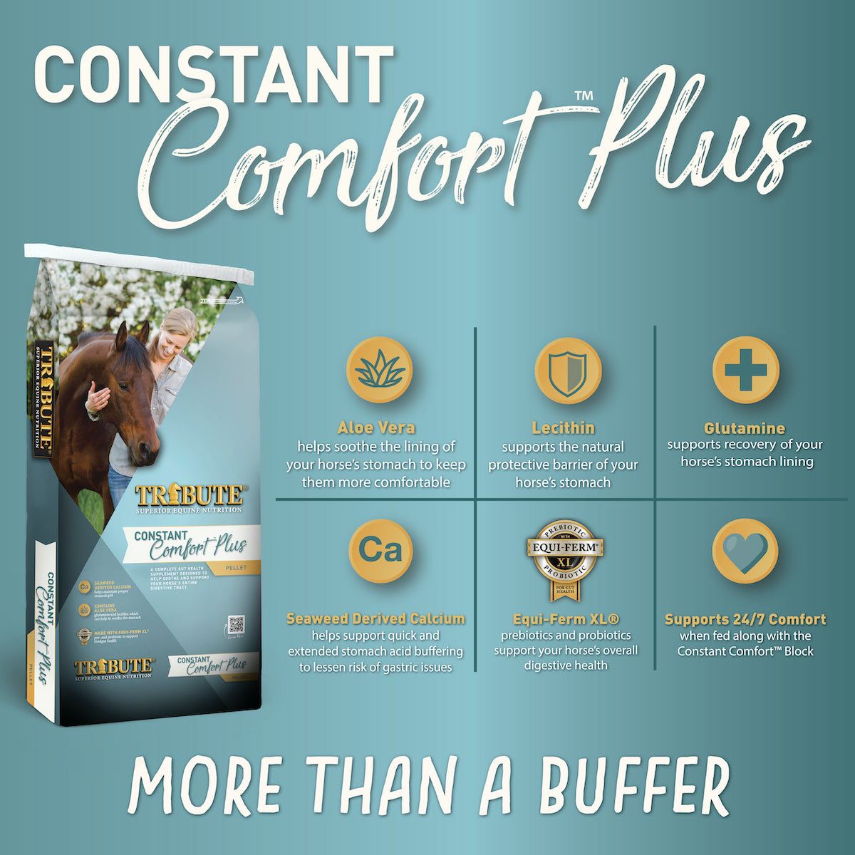 Constant Comfort® Supplement Block to Support Gut Health