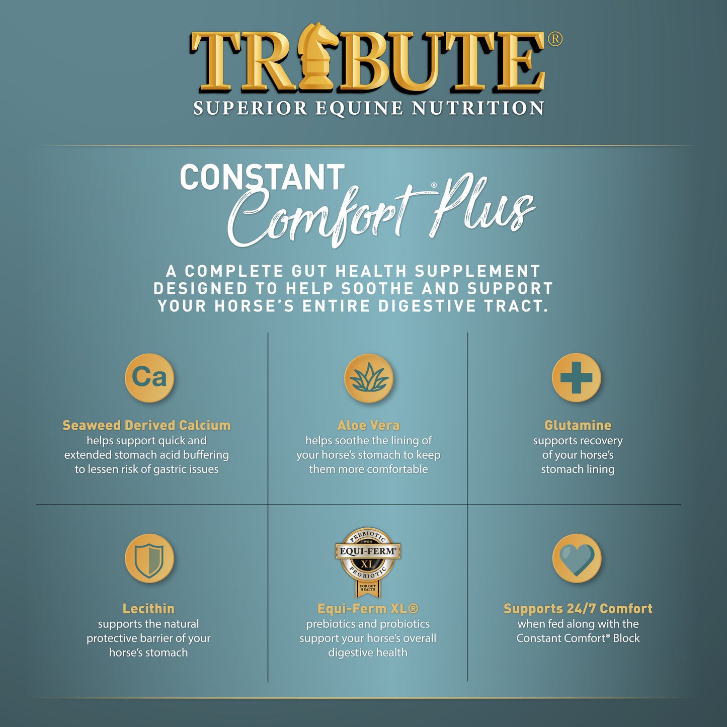 Constant Comfort® Plus, Total Gut Health Supplement