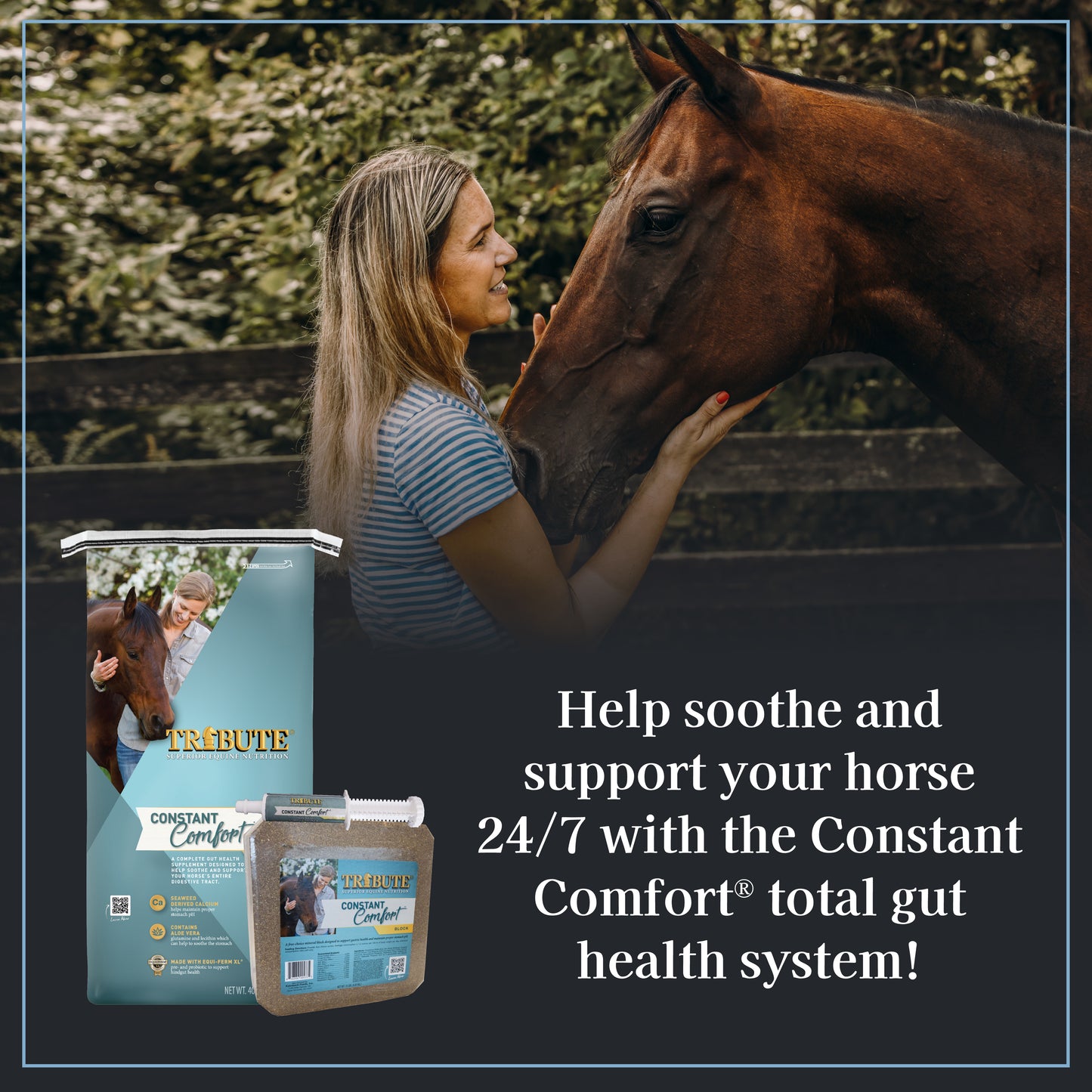 Constant Comfort® Plus, Total Gut Health Supplement