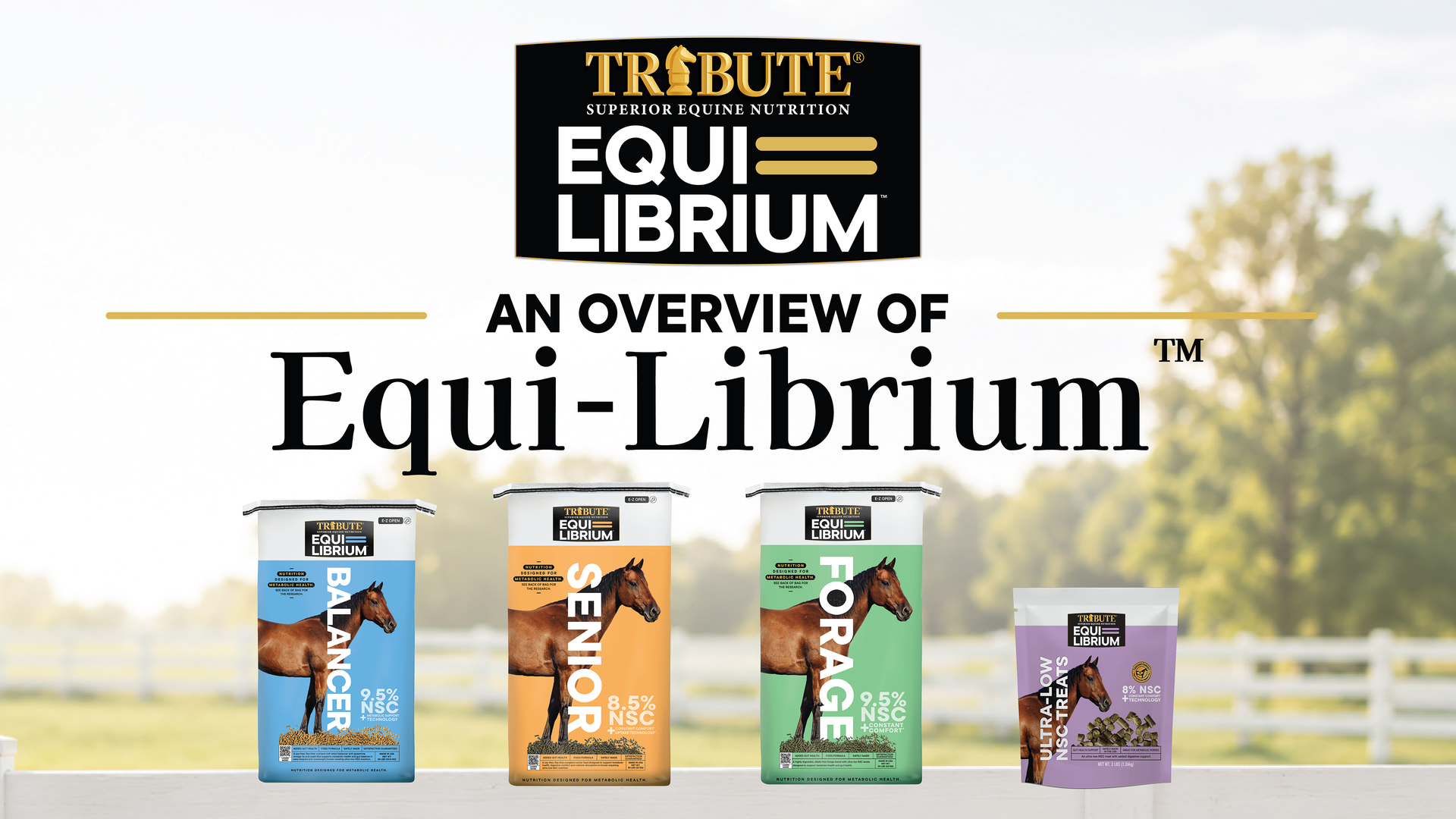 Load video: Tribute Equine Nutrition's new Equi-Librium ultra low NSC horse feed line overview video