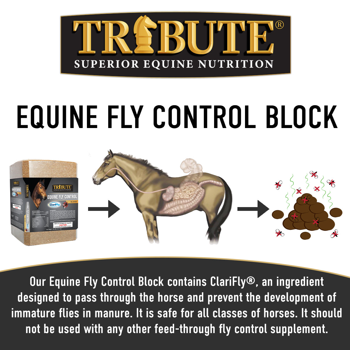 ClariFly® Fly Control Block for Horses | Tribute Equine Nutrition®