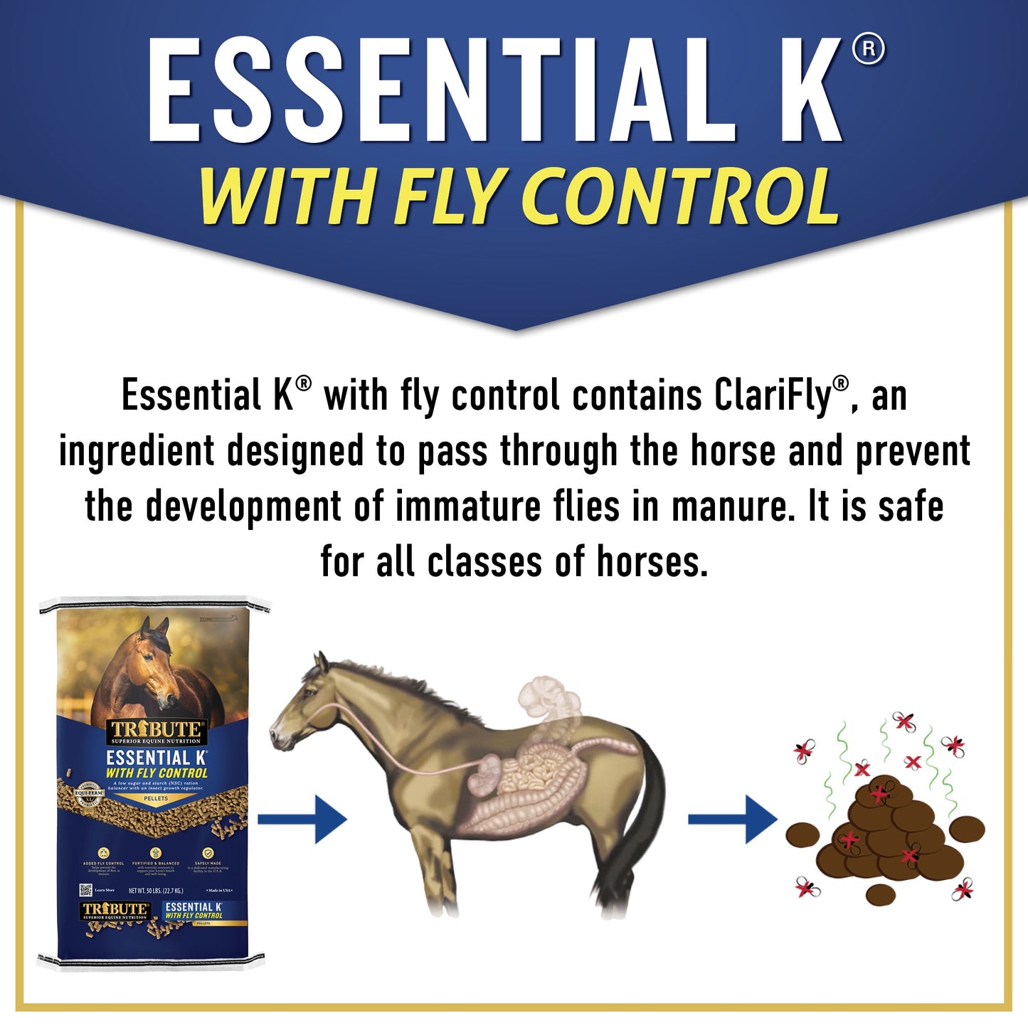 Essential K® with Fly Control, Pelleted, Low NSC Ration Balancer