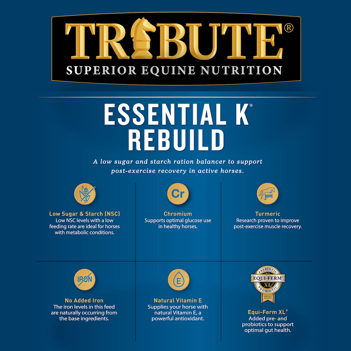 Essential K® Rebuild with Turmeric & Chromium for Horses | Tribute ...
