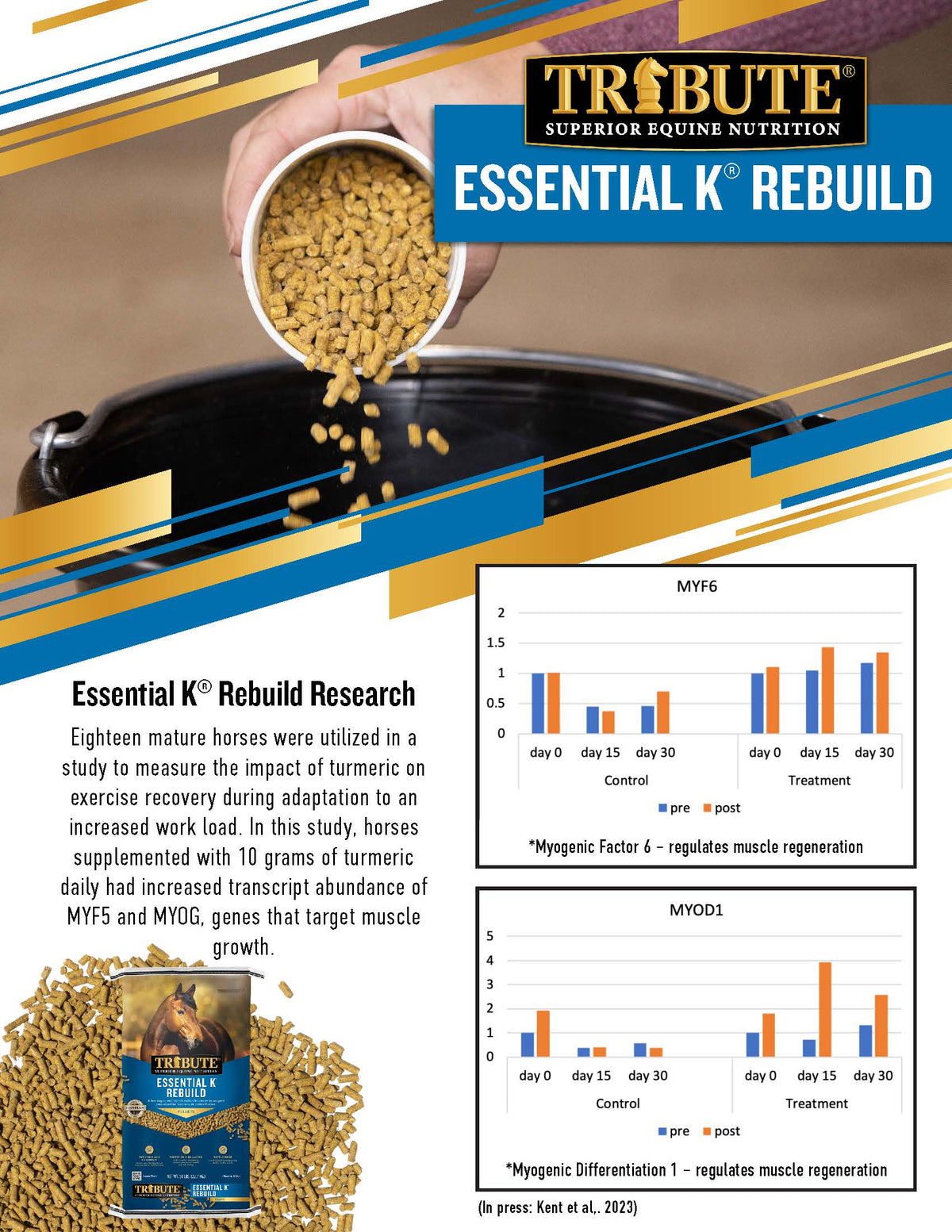 Essential K® Rebuild with Turmeric & Chromium for Horses | Tribute ...