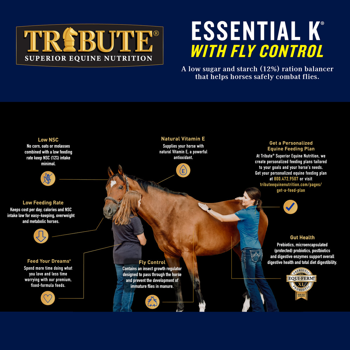 Essential K® with Fly Control, Pelleted, Low NSC Ration Balancer