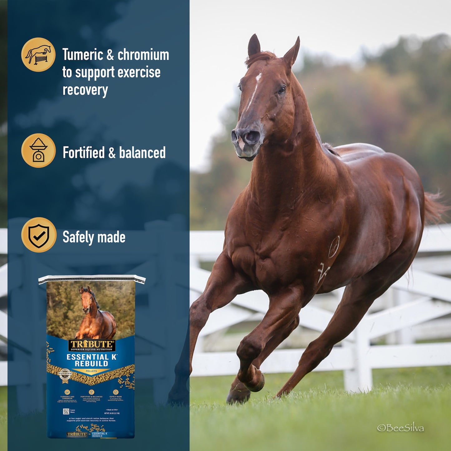 Essential K® Rebuild, Ration Balancer with Turmeric and Chromium
