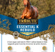 Essential K® Rebuild, Ration Balancer with Turmeric and Chromium