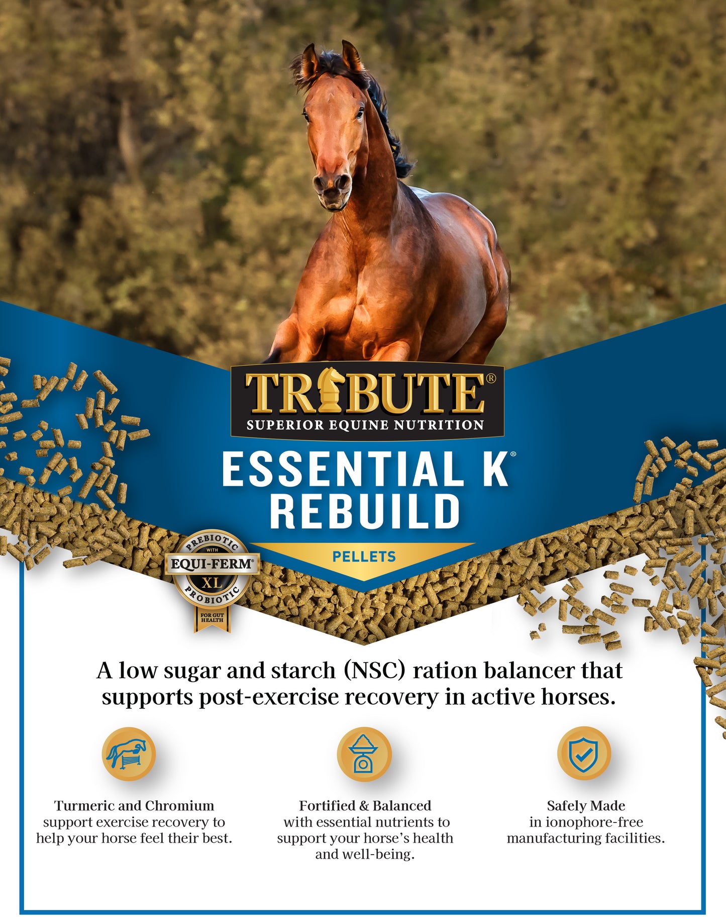Essential K® Rebuild, Ration Balancer with Turmeric and Chromium