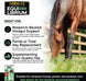Equi-Librium™ Forage