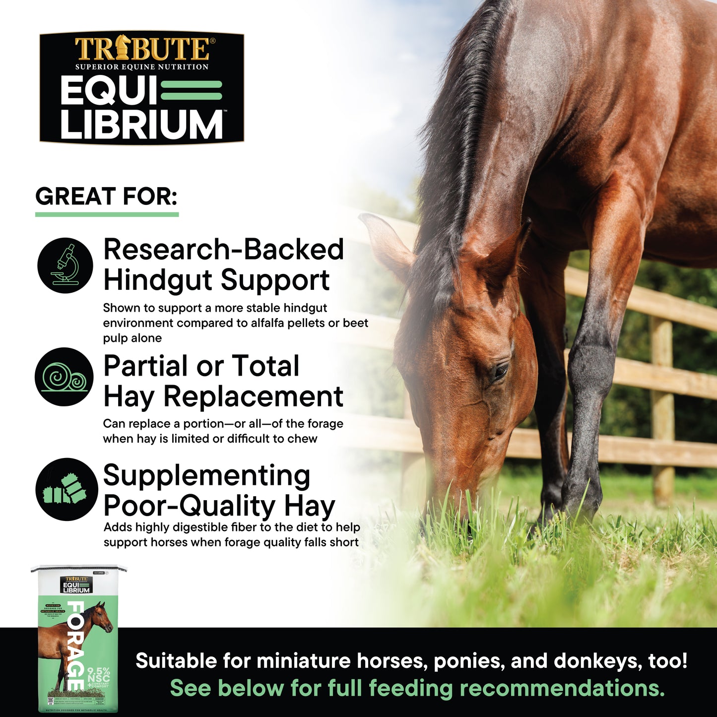 Equi-Librium™ Forage