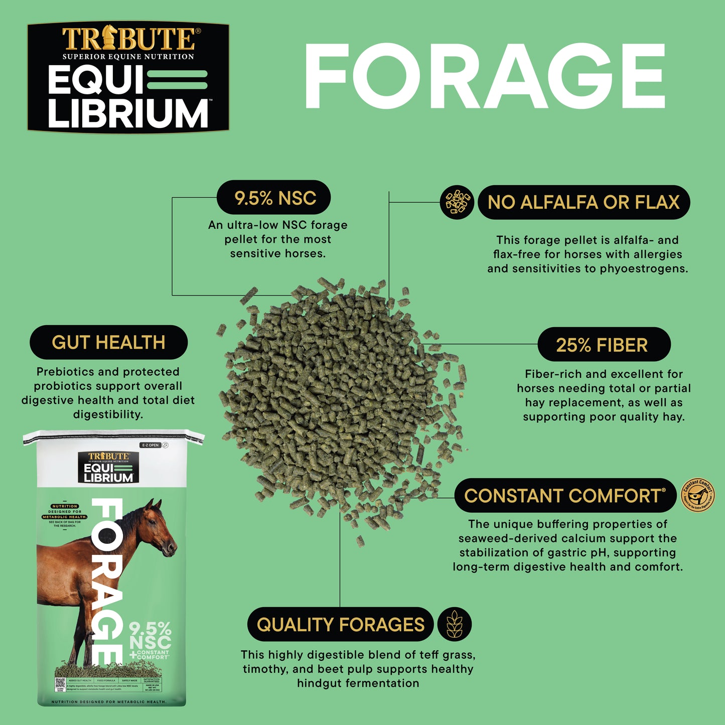 Equi-Librium™ Forage