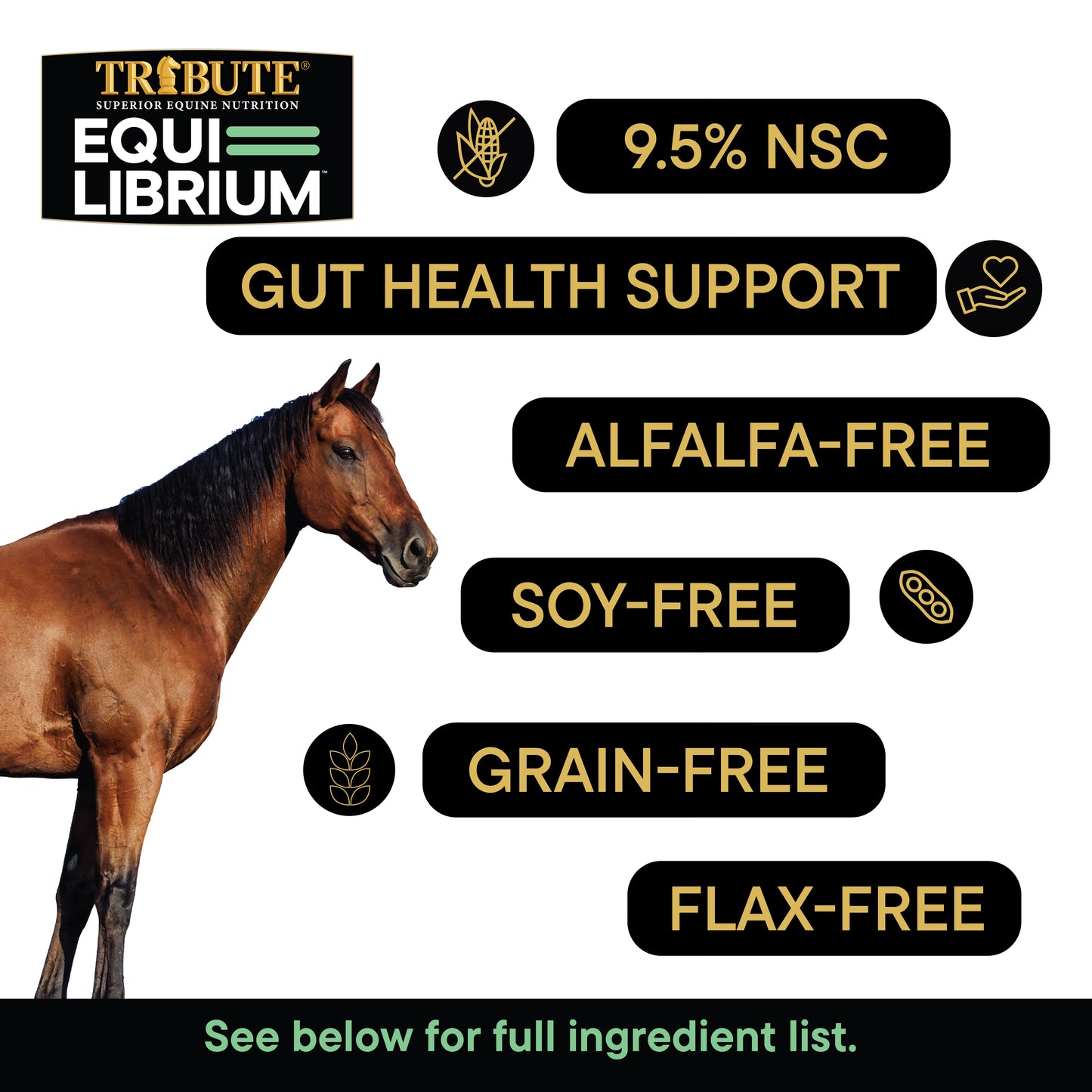 Equi-Librium™ Forage
