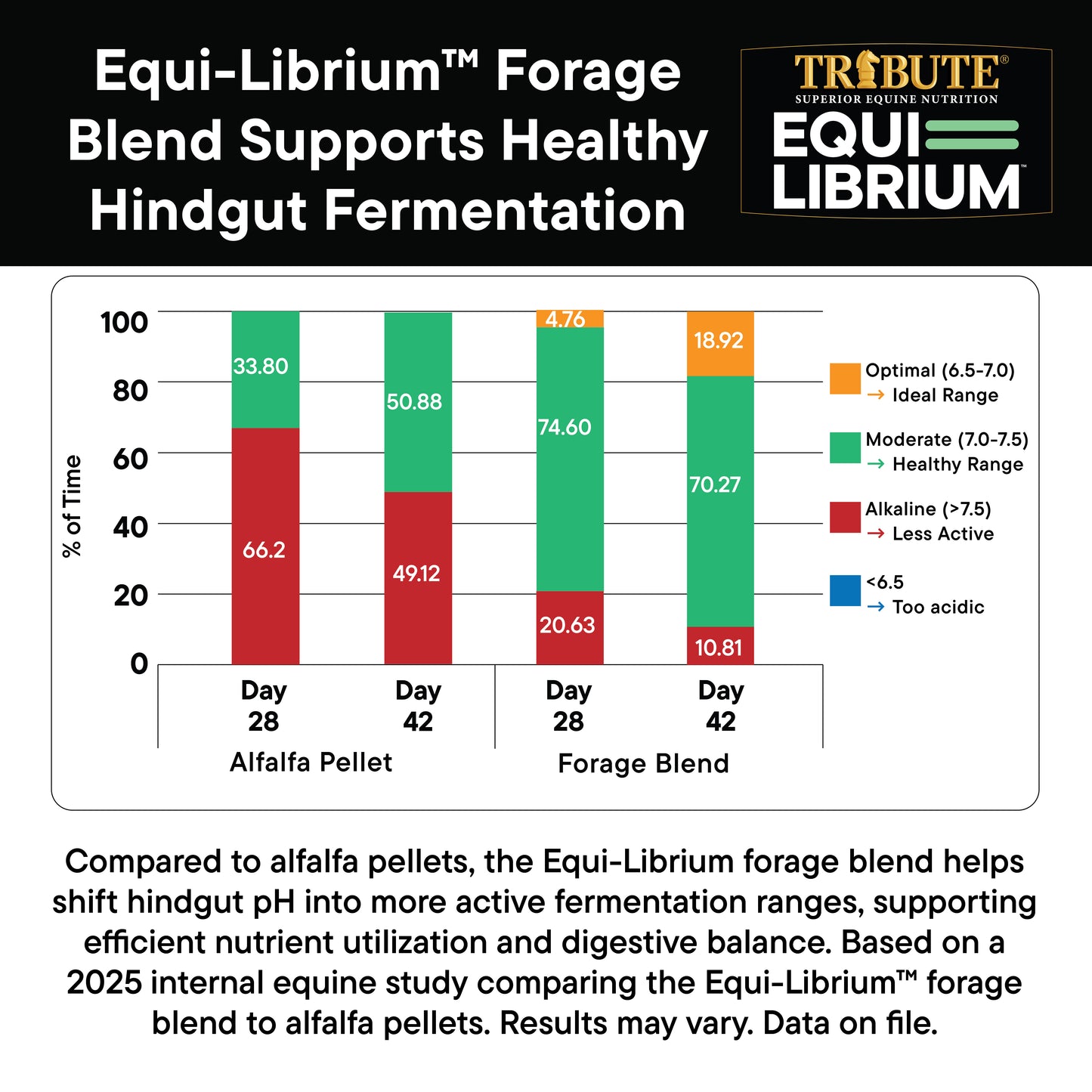 Equi-Librium™ Forage
