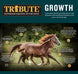 Growth Textured, Mare & Foal Feed