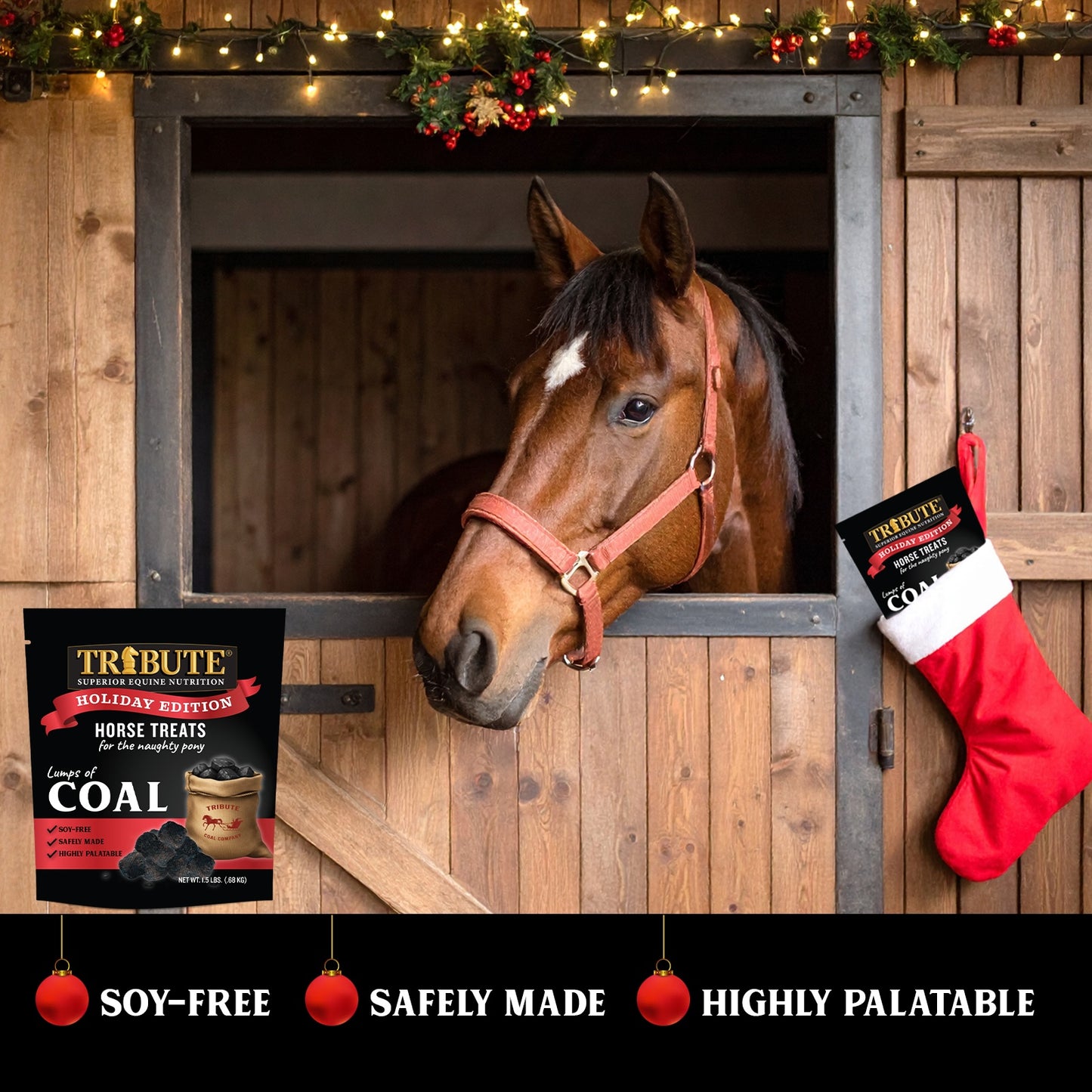 Lumps of Coal Horse Treats