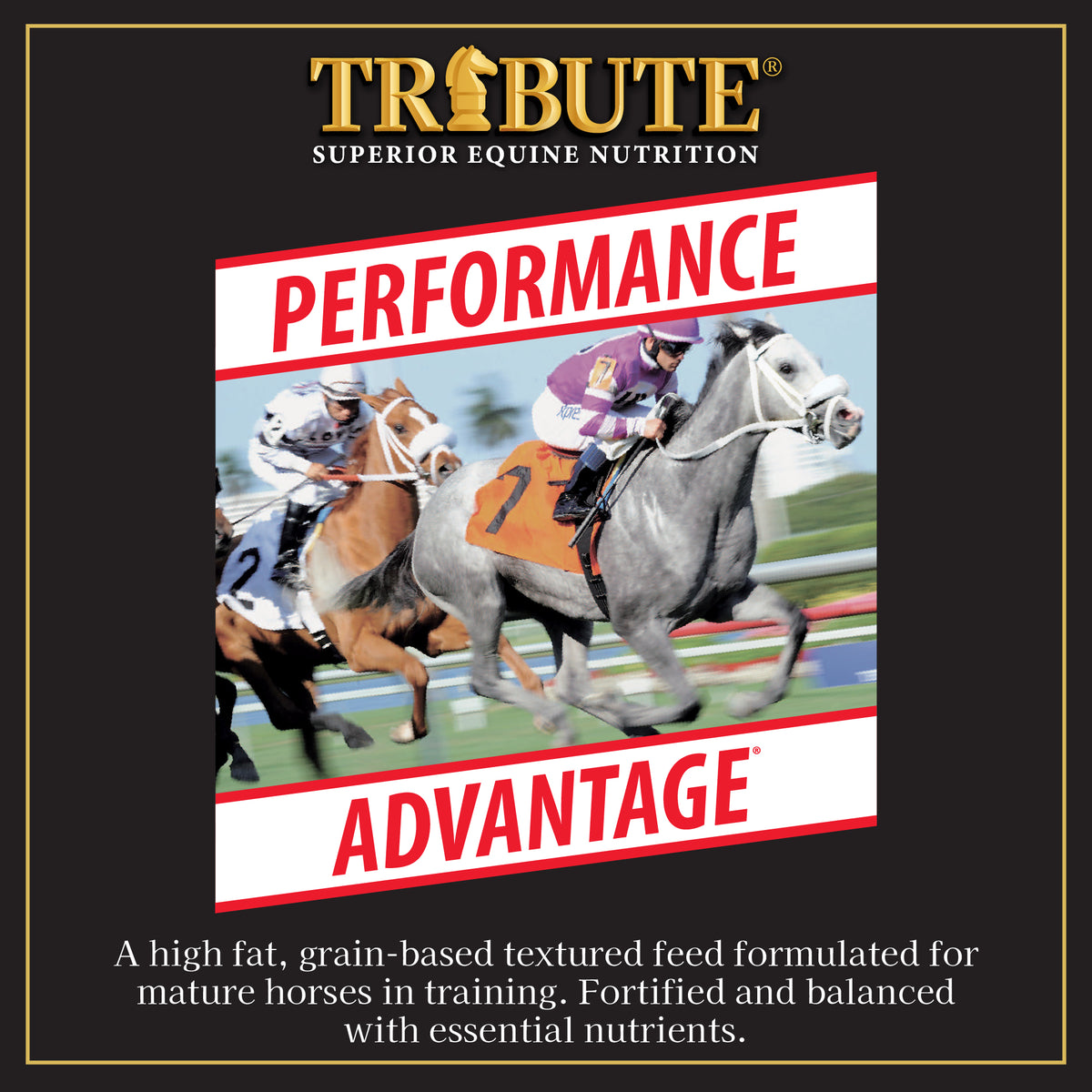 Performance Advantage®, Textured Feed for Race Horses