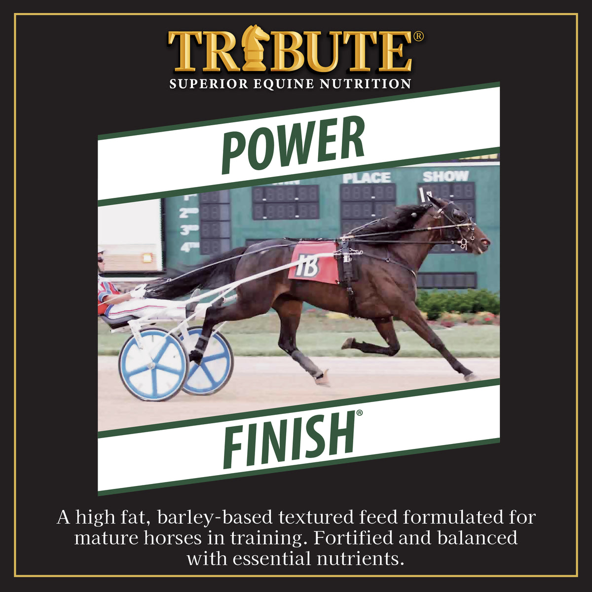 Power Finish®, Textured, Corn-Free Feed for Race Horses