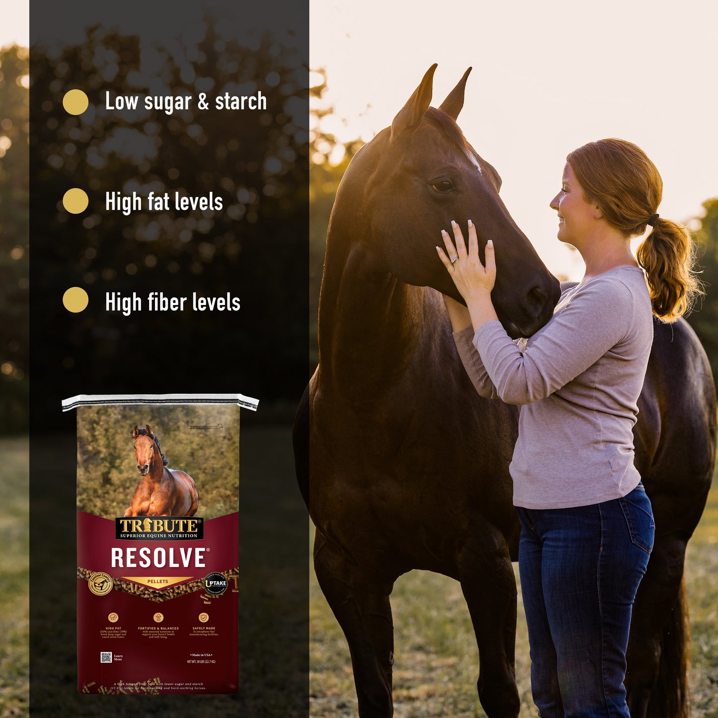 Resolve®, Pelleted, Low NSC, High Fat, High Fiber Feed