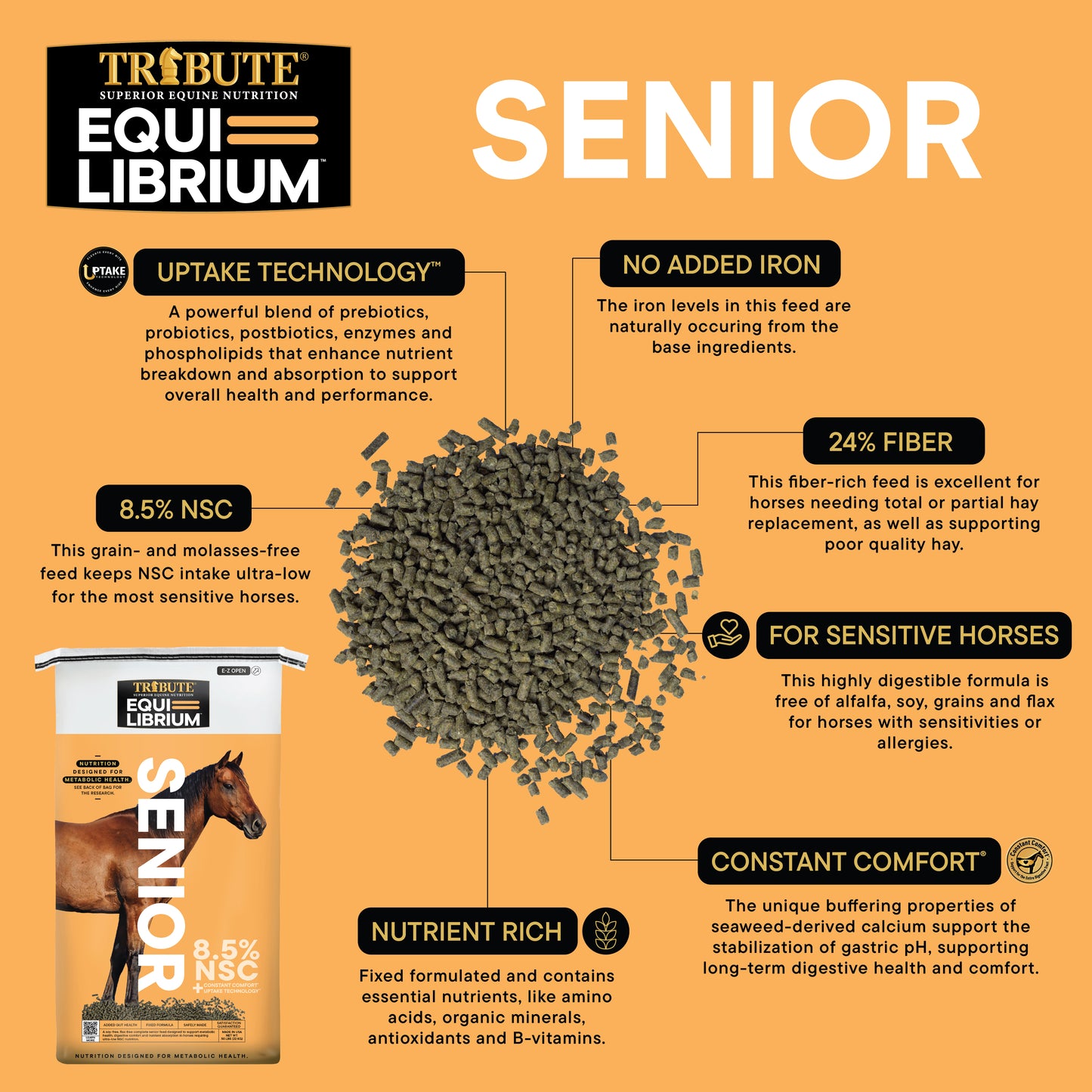 Equi-Librium™ Senior