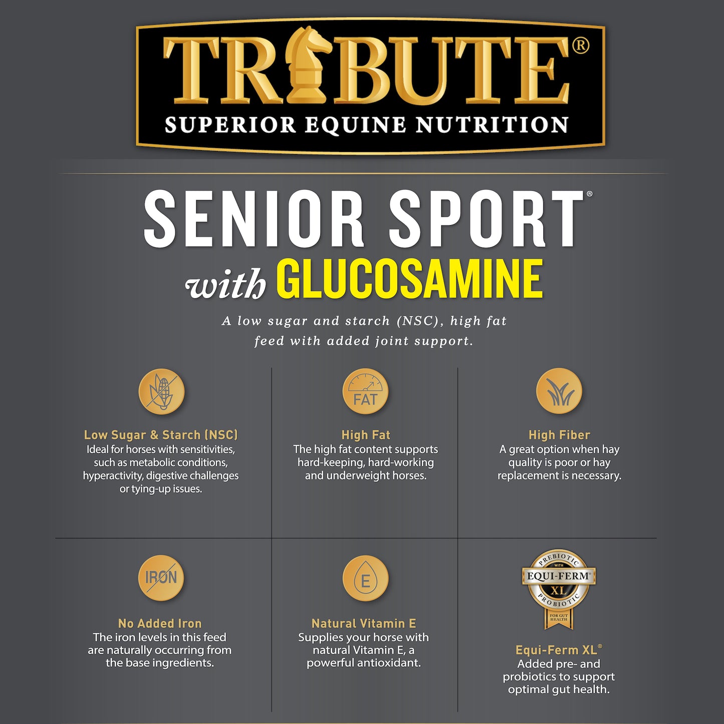 Senior Sport® with Glucosamine, Textured High Fat Horse Feed