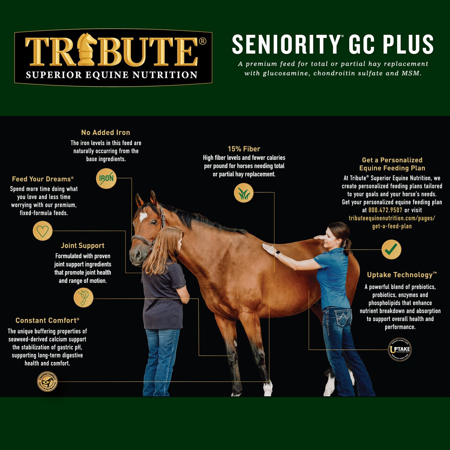 Seniority® GC Plus Horse Feed, Textured, Hay Replacement Feed with Joint Support