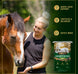 Seniority® GC Plus Horse Feed, Textured, Hay Replacement Feed with Joint Support