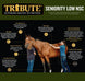 Seniority® Low NSC (10%), Horse Feed