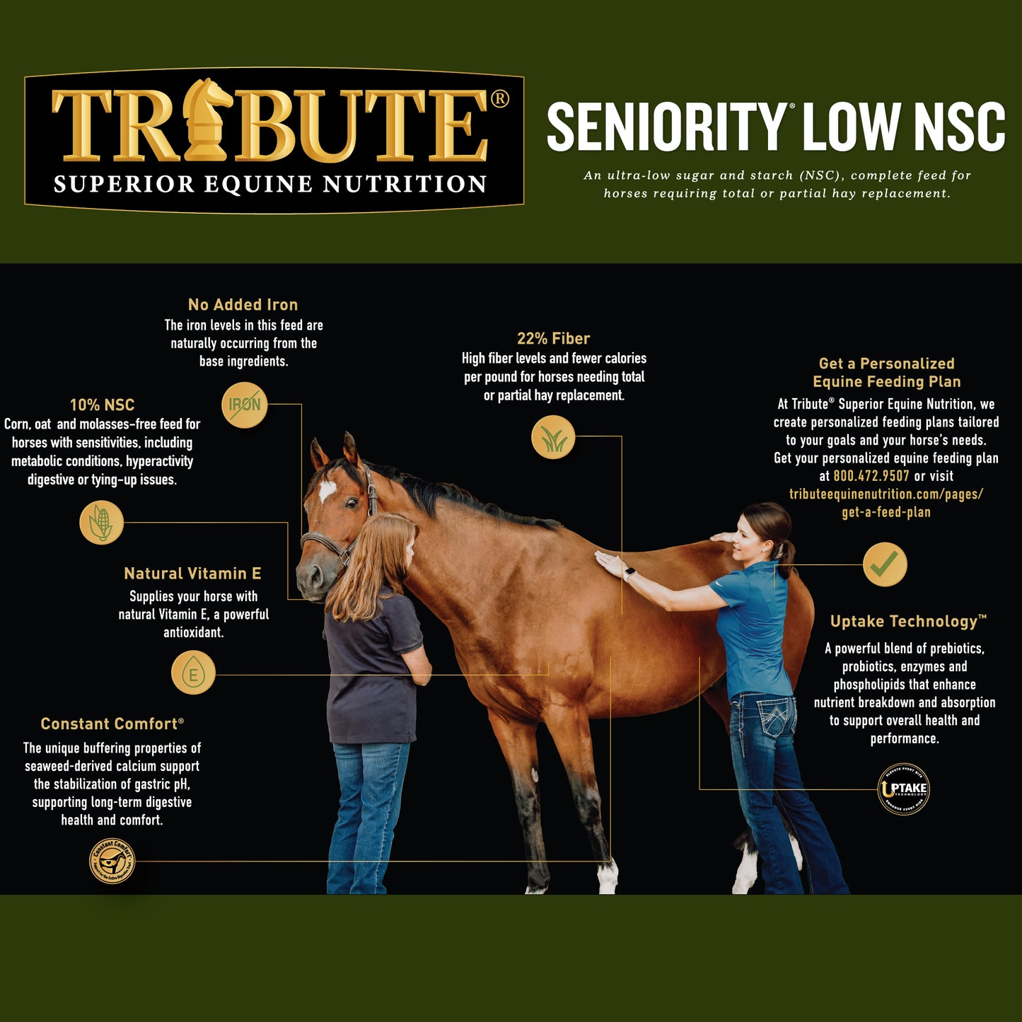 Seniority® Low NSC (10%), Horse Feed