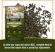 Seniority® Low NSC (10%), Horse Feed