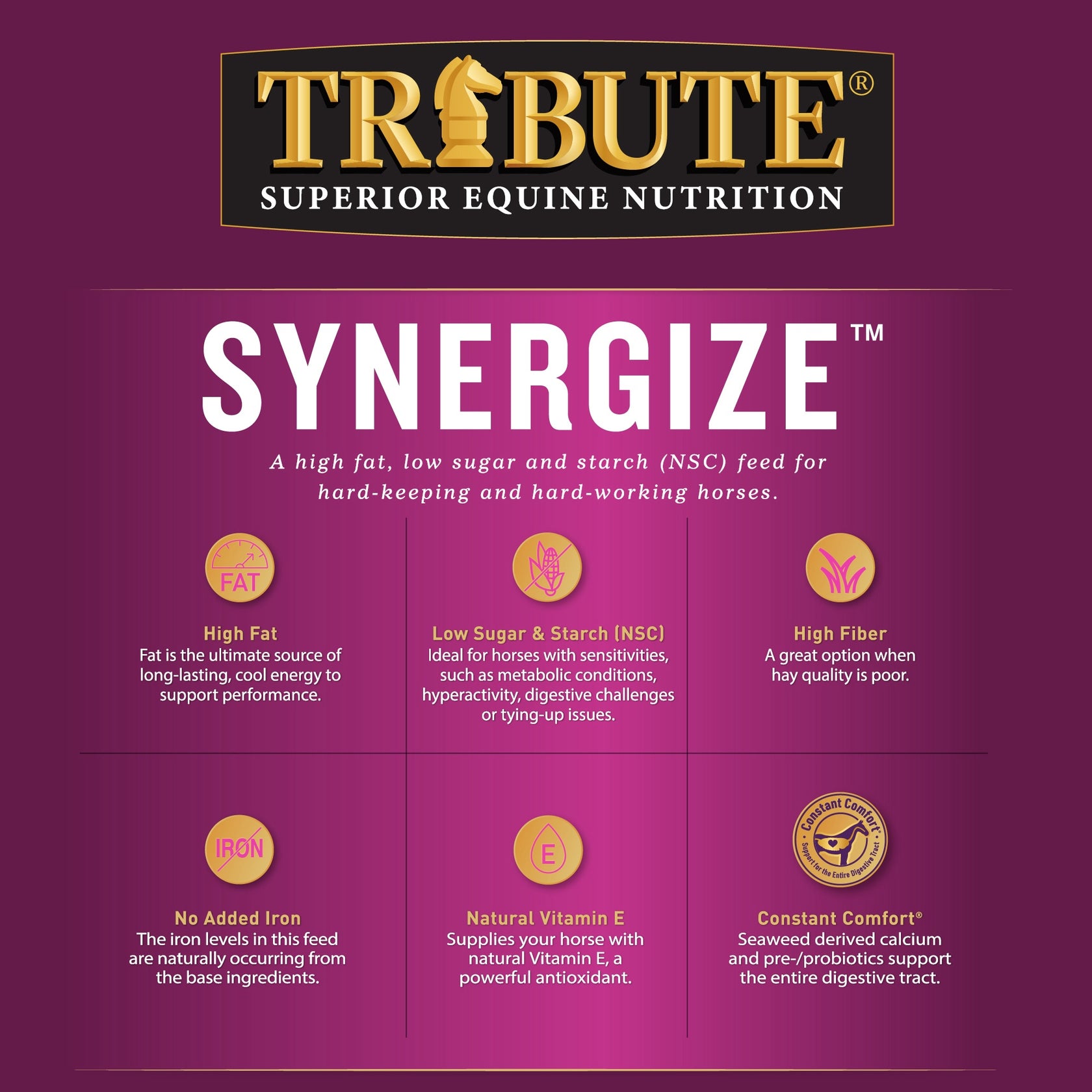 Synergize™ Low NSC, High Fat Horse Feed Tribute Equine Nutrition