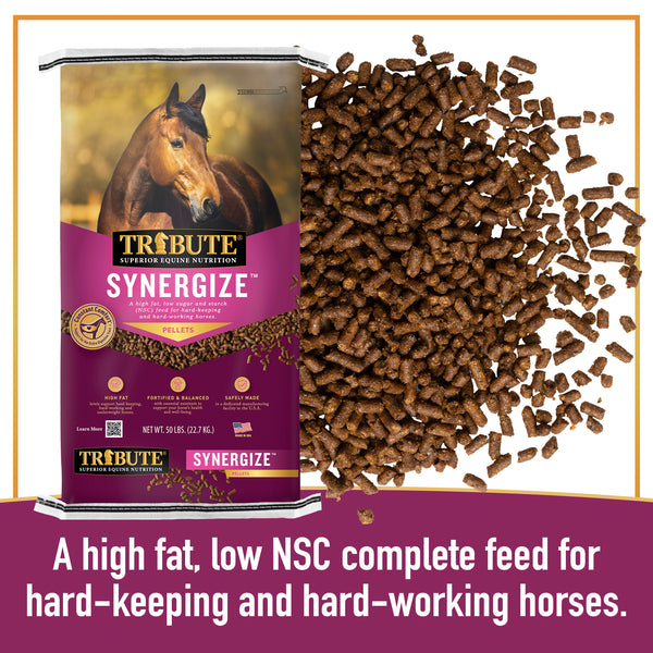 Synergize™ Low NSC, High Fat Horse Feed – Tribute Equine Nutrition