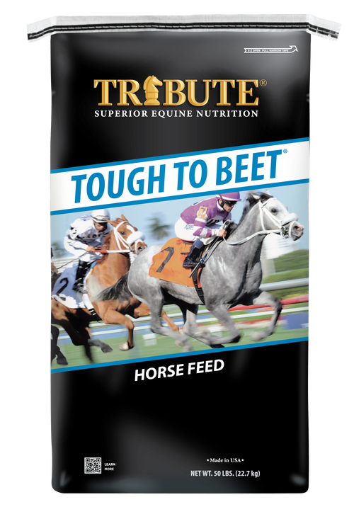 Tough To Beet® Horse Feed, Textured Feed for Race Horses