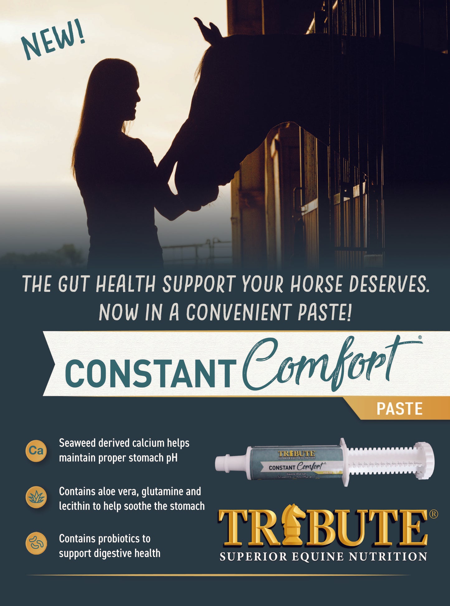 Constant Comfort® Paste, Gut Health Supplement