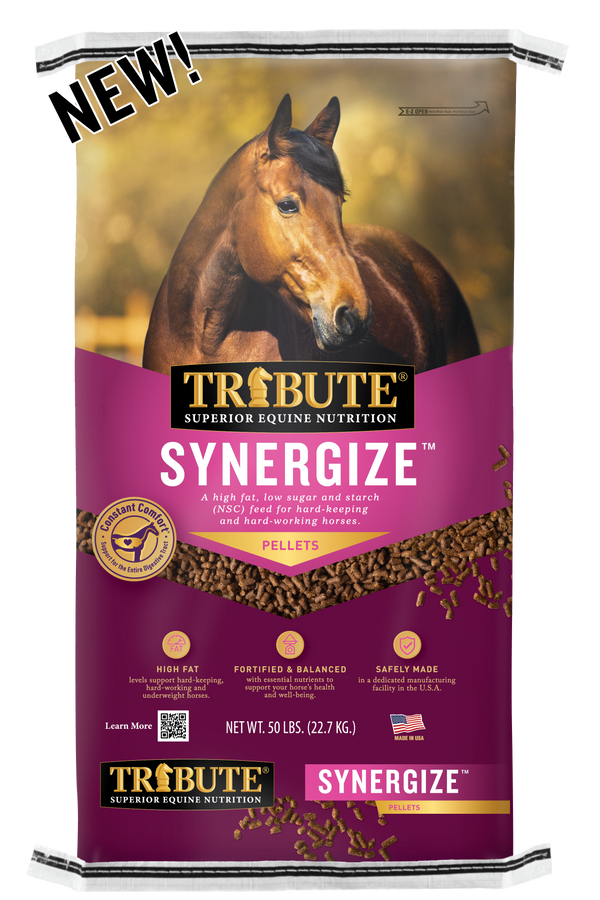 Synergize™ Low NSC, High Fat Horse Feed Tribute Equine Nutrition