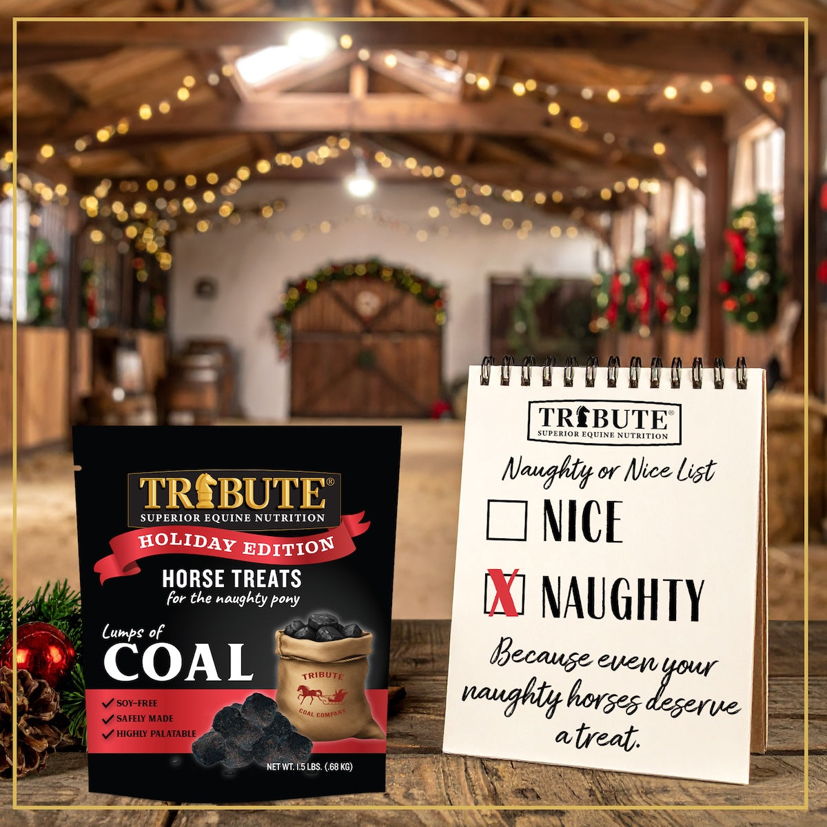 Lumps of Coal Horse Treats