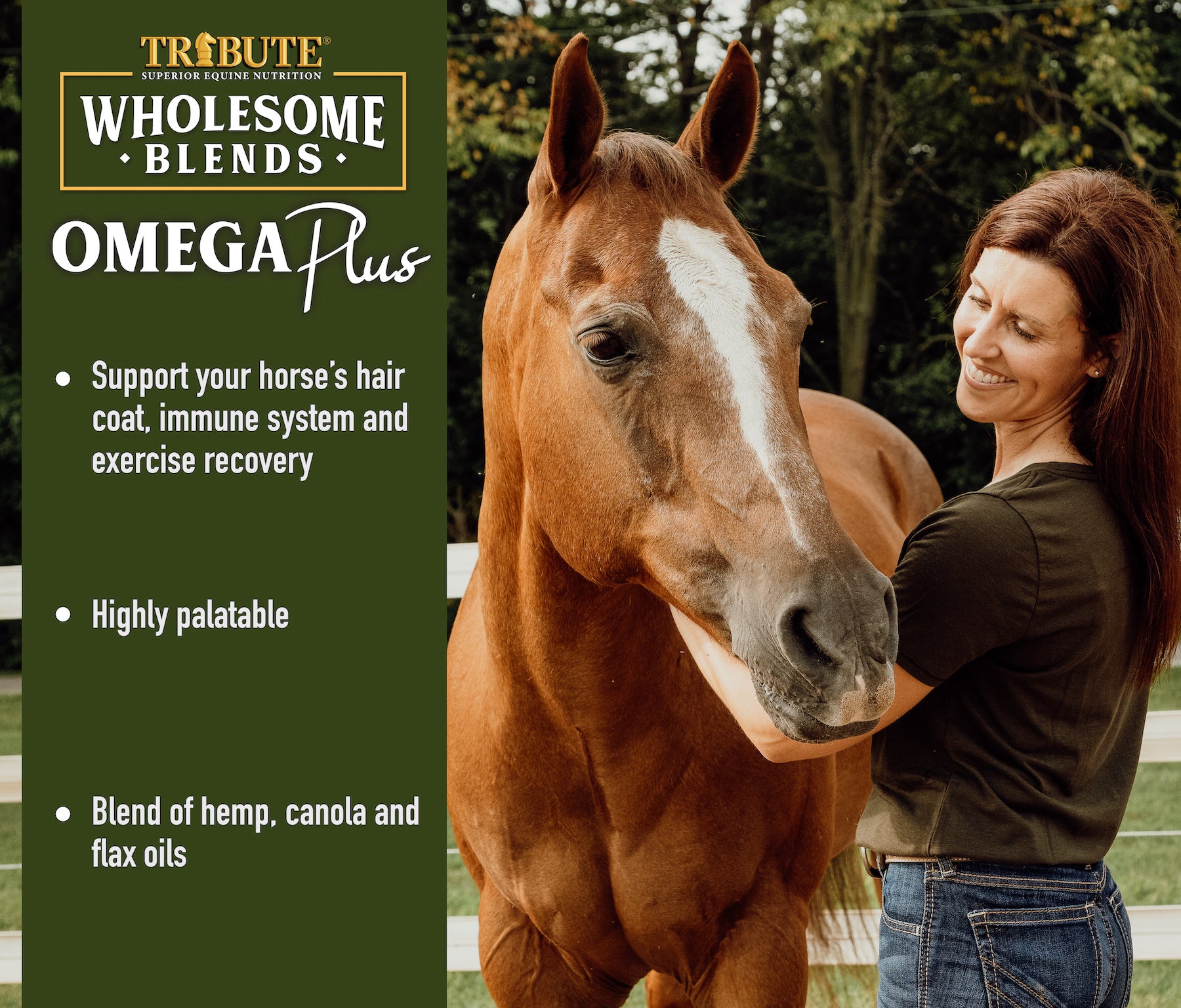 Wholesome Blends Omega Plus Oil Supplement For Horses Tribute