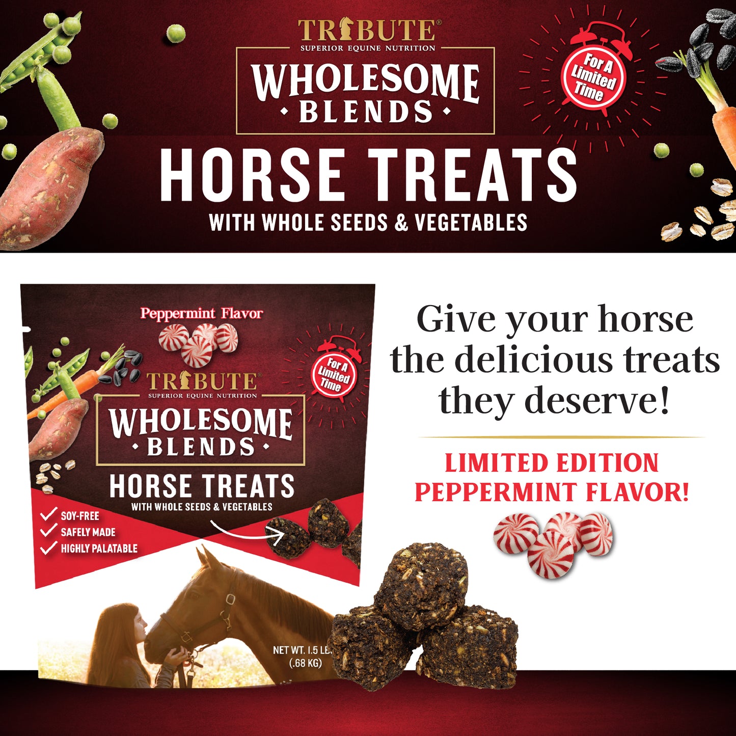 Peppermint Wholesome Blends® Horse Treats