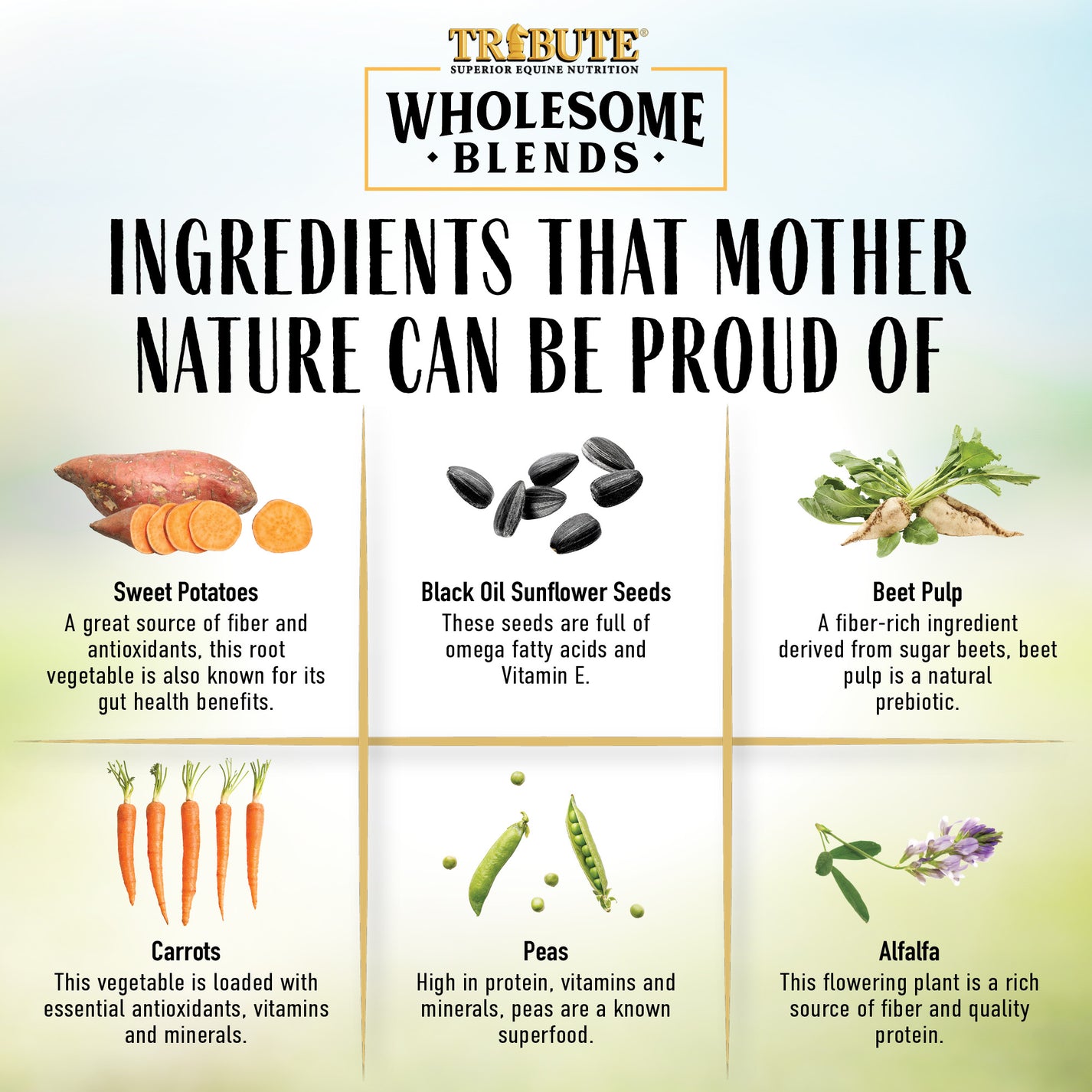 Wholesome Blends® Treats for Horses Tribute® Tribute Equine Nutrition
