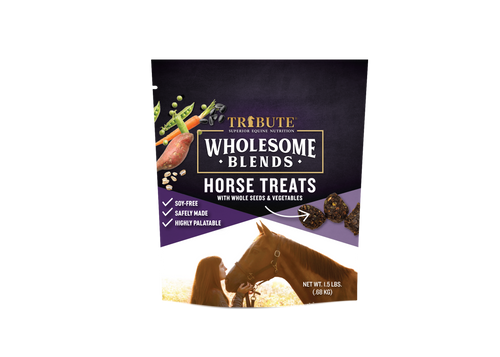 Wholesome Blends® Horse Treats