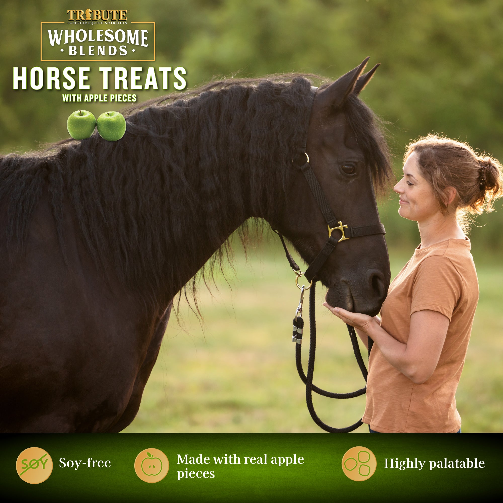Apple Wholesome Blends Horse Treats - Thumbnail 3